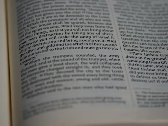 카지노 그랜드 이글 지원